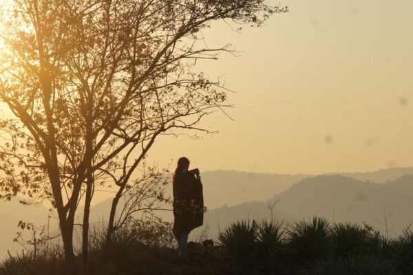 SONY DSC