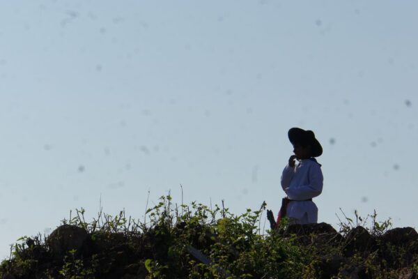 SONY DSC