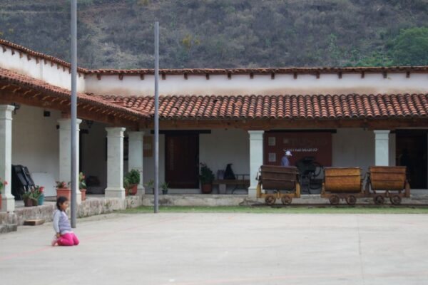 SONY DSC